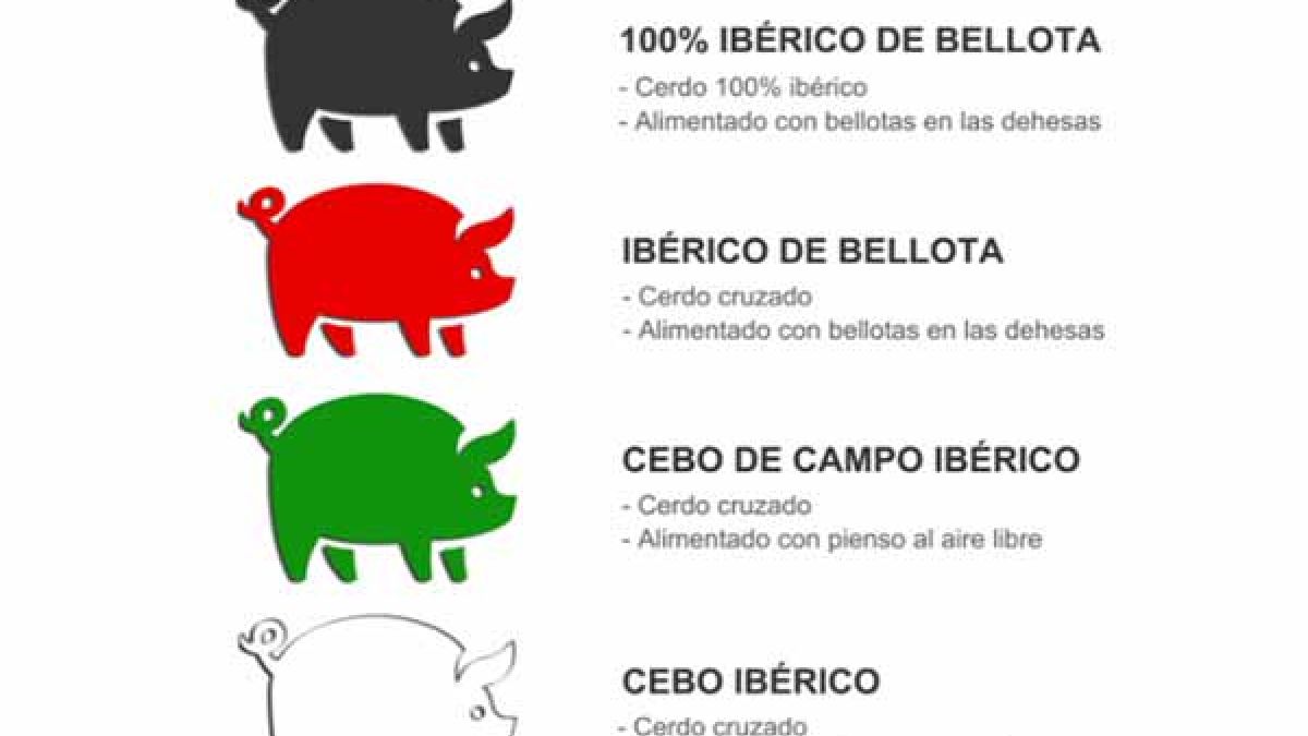 significado de las etiquetas del jamón