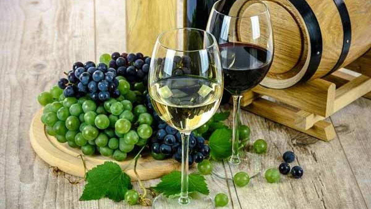 beneficios vino para la salud