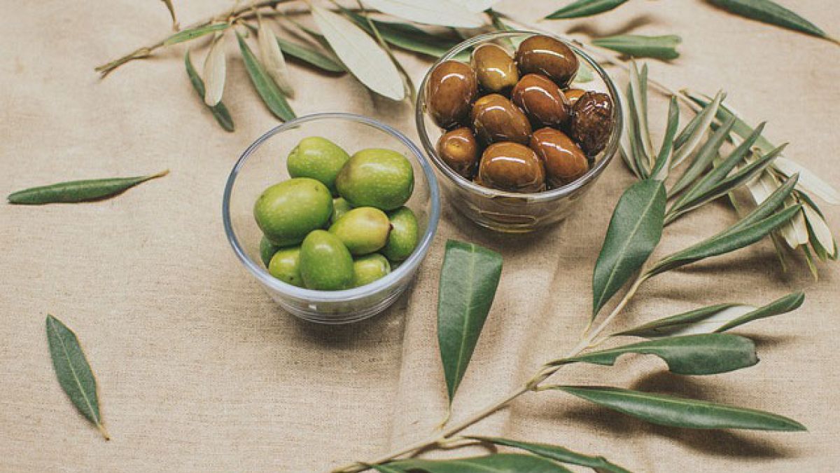 conservar las aceitunas una vez abiertas