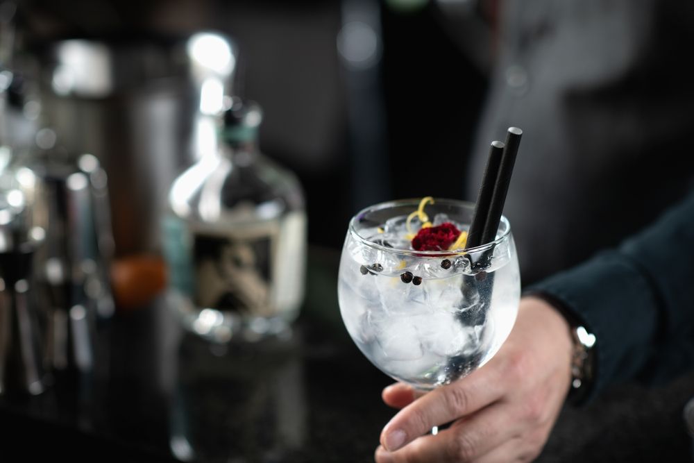 Cómo preparar y servir un buen Gin Tonic