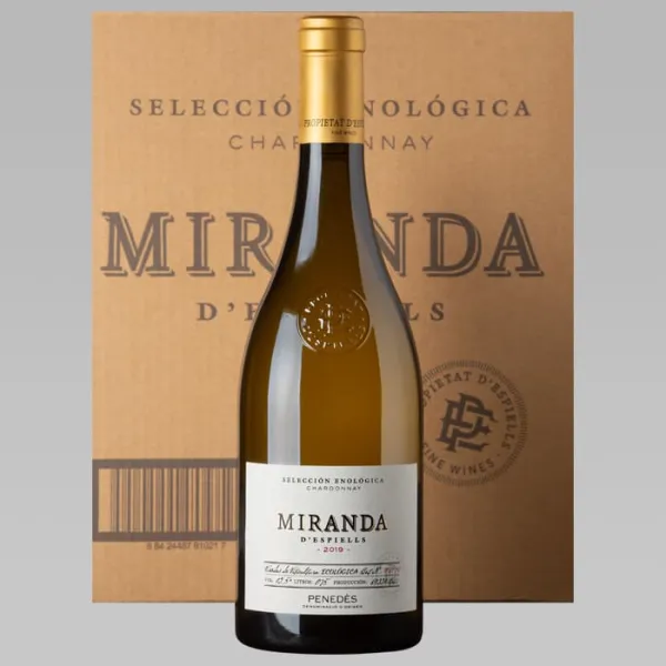 JUVE CAMPS MIRANDA D'ESPIELLS- CAJA 6 BOT